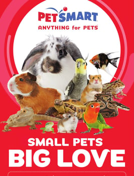 PetSmart - Small Pets Big Love